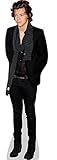 Harry Styles (Scarf) Life Size Cutout