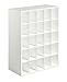25-Cube Organizer, White