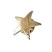 WizardPins Gold Star Lapel Pin- 1 Piece