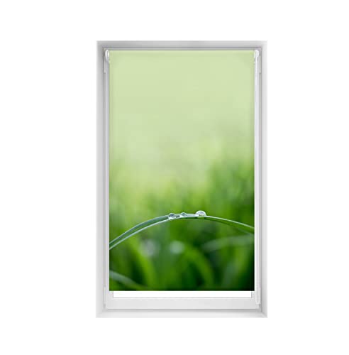 Blindecor Easy Venetian Blind, No Drilling Required, Printed, Translucent, Digital Print, Quietud, 95 x 150 cm (width x height), Fabric Dimensions 92 x 145 cm