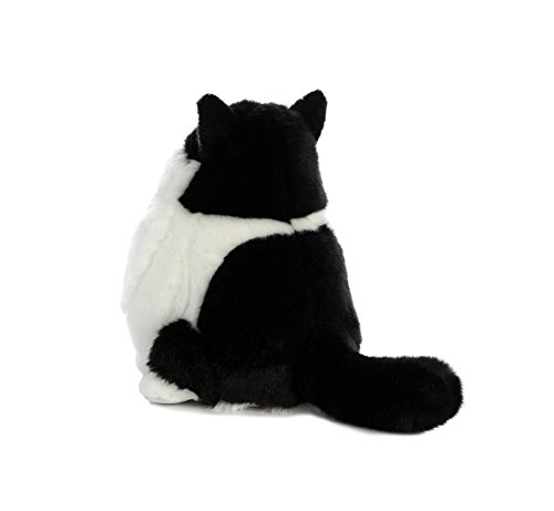 Aurora - Cats - 9.5