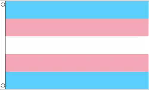 5ft x 3ft (150 x 90 cm) New Transgender Gay Pride 100% Polyester Material Flag Banner Ideal For Pub Club Festival Business Party Decoration