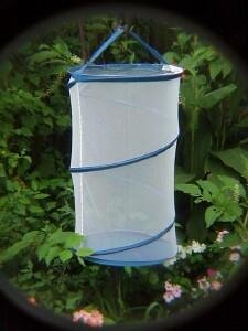 24" Tall Pop-Up Butterfly Cage Butterflies/Insects