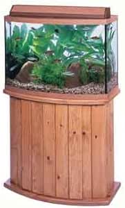 bowfront aquarium stand