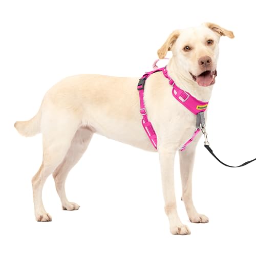 PetSafe Easy Walk Comfort No-Pull Dog Harness Full-Body Padding - Better Walks on The First Use - 5 Points of Adjustment Large, Pink