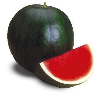 Water melon Sweet Honey (Hybrid) Summer Fruit Seed (9 Packet Of Water melon Sweet Honey) Pack Of AVG 30 - 50 Seed * 9 Per Packet