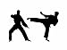 Karate Martial Arts Graphic Design Vinyl Wall Decal