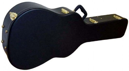 black rat guitar case