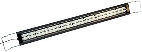 SeaStar Aquarium Lighting 24" Double Strip Lights (Mixed 10000K White and 456 nanometer Actinic Blue Strip), Medium