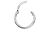 Urban Body Jewelry 16G Hinged Stainless Steel Segment Hoop Ring 5/16