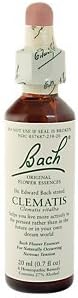 Clematis for Focus and Concentration, Natural Homeopathic Flower Essence (20mL Dropper)