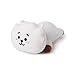 BT21 Official Merchandise by Line Friends - RJ Mini Cushion Stuffed Pillow, White