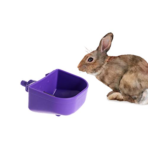 Stebcece Rabbit Automatic Drinker Waterer Cup for Chinchillas Squirrel Small Animals (2) - Thumbnail 4