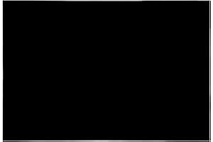 YIJUNHUI 11.6"x17" DIY Guitar Bass Pickguard Blank Material Sheet - Scratch Resistant Backplate for Strat/Tele Guitars & Jazz/P Bass (3Ply Black)