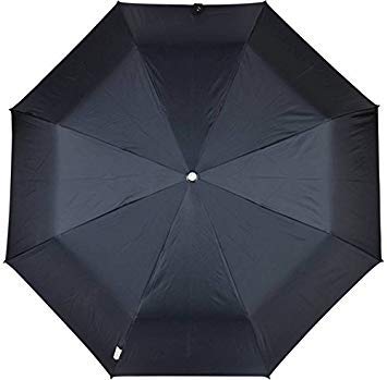 Men's and Women's Nylon and Plastic 2 Fold Umbrella (Black)