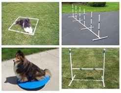 Agility Gear Starter Package with Wobble Board