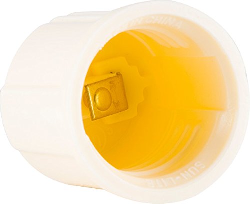 2 GE+54173+Adapter+Converts+Polarized