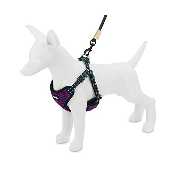 voyager mesh dog harness