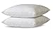 BioPEDIC 2-Pack Bed Pillows with Built-In Ultra-Fresh Anti-Odor Technology, Jumbo, White