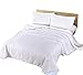 Silk Camel Luxury Comforter Filled with 100% Natural Long Strand Mulberry Silk for Summer - Queen Size