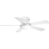Progress Lighting P2572-3030K Protruding Mount, 5