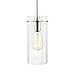 Light Society Montreal Cylindrical 5-Light Chandelier Pendant, Satin Nickel with Clear Glass Shades, Contemporary Modern Lighting Fixture (LS-C239-SN-CL)