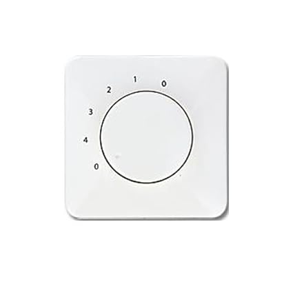 Pepeo Wall Control For Ceiling Fans Without Light Flush Mount