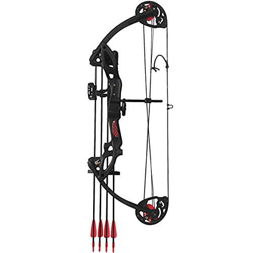 PANDARUS Compound Bow Archery for Youth and Beginner, Right Handed,19