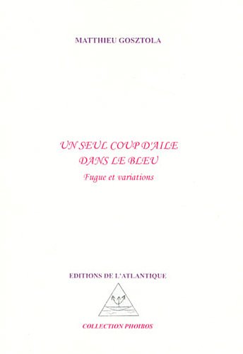 Un  seul coup d'aile dans le bleu