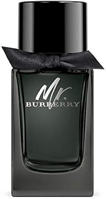 mr burberry 100ml