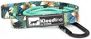 Lightweight Kloudline Minimus Leash 4 or 6 Foot with Traffic Handle for Big or Small Dogs ... (6 Foot, Aloha)