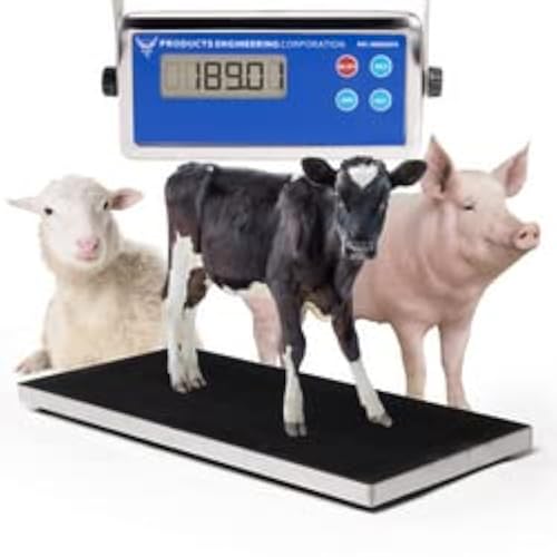 PEC Livestock Scale with Digital Indicator, Veterinary Floor Weighing ...