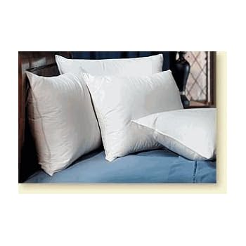 Amazon Com Pacific Coast Down Surround Standard Complete Pillow