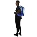 adidas Hermosa Mesh Backpack, Bold Blue/Solar Blue, One Size