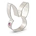 Ann Clark Cookie Cutters Easter Bunny Cookie Cutter, 4.25