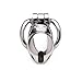 Master Series Rikers 24-7 Stainless Steel Locking Chastity Cage