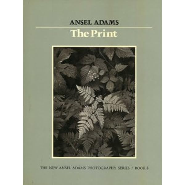 The Negative (The New Ansel Adams Photography Series, Book 2