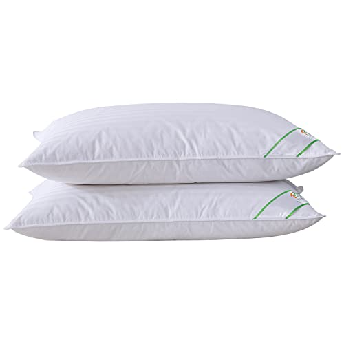 SUFUEE Luxury Goose Feather and Down Pillow Pair with 100% Cotton Cover (Standard(50% Down))