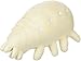 Deep Sea Creature Elpidia Sea Cucumber Plush (White/16 cm)