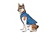Gooby Sports Vest Dog Jacket - Blue, Medium - Reflective Dog Vest with D Ring Leash - Warm Fleece Lined Small Dog Sweater, Hook and Loop Closure - Dog Clothes for Small Dogs Boy or Girl Dog Sweater