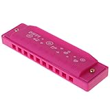 Jesse 10 Hole Kids Blues Harmonica, Pocket