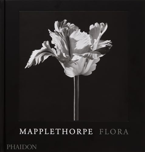 アート・デザイン・音楽 Flowers Robert Mapplethorpe Flowers: Mapplethorpe, Robert: 9780821220191: Amazon.com: Books