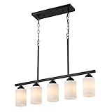 BYOLIIMA Matte Black Chandelier Light Fixture