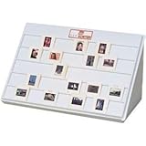 Logan 1055 E-Z View Flat Folding Slide Sorter for 40 Slides 12 x 16in. 750485