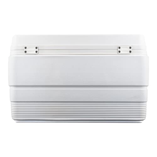 NeverBreak Parts 2 Pack White Igloo Cooler Hinges Replacement with Screws High Strength