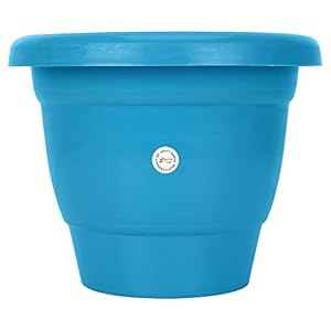 Kraft Seeds Plastic Planter Bottom Plate – Blue, 18cm, Set of 2
