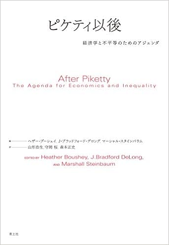 afterPikkety