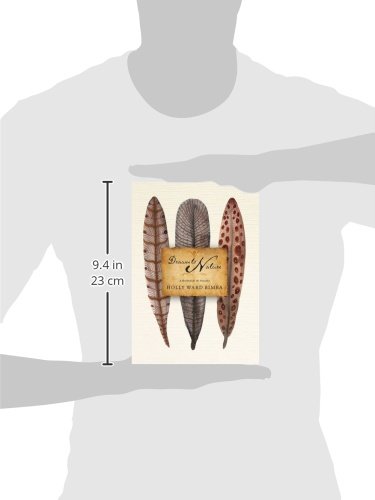 Drawn To Nature A Sketchbook For The Naturalist Holly Ward - 