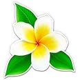 Aloha Hibiscus Lei Words Hawaii Hawaiian Vinyl Decal Laptop Car Boat Mirror Truck Surfboard Vanity Beach Tumbler Cup VALOHAHIBISCUS1