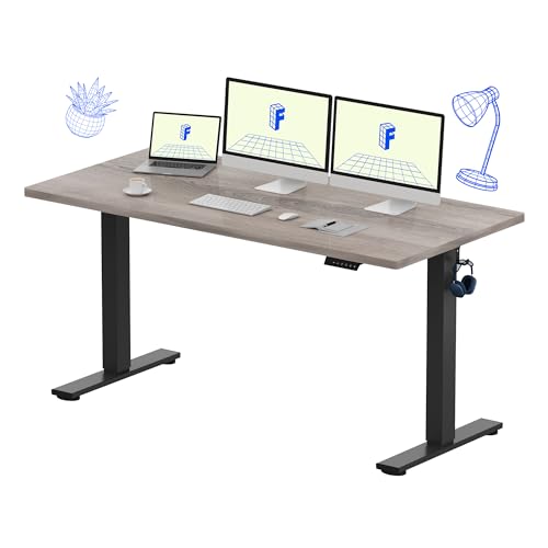 FLEXISPOT EN1 Whole Piece Standing Desk, 60 x 24 Inches Height Adjustable Desk Electric Sit Stand Desk for Home Office (Black Frame + Gray Wood Desktop, 2 Packages)